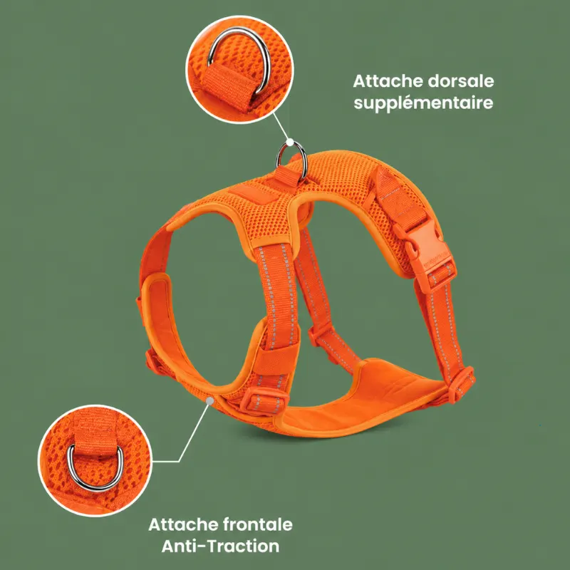 Points d'attache frontal et dorsal du harnais Premium HP5652