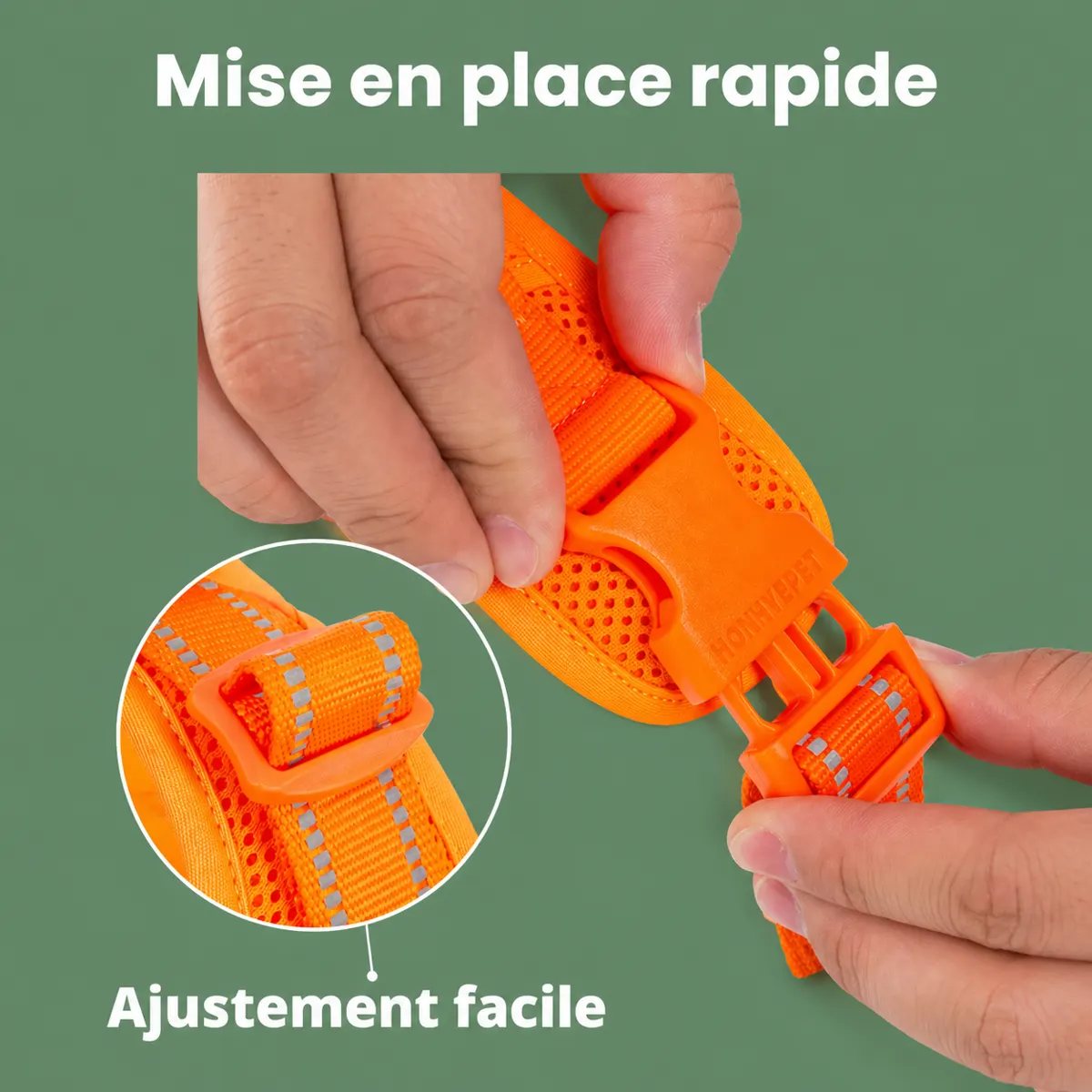 Mise en place du harnais Premium HP5652 sur un chien